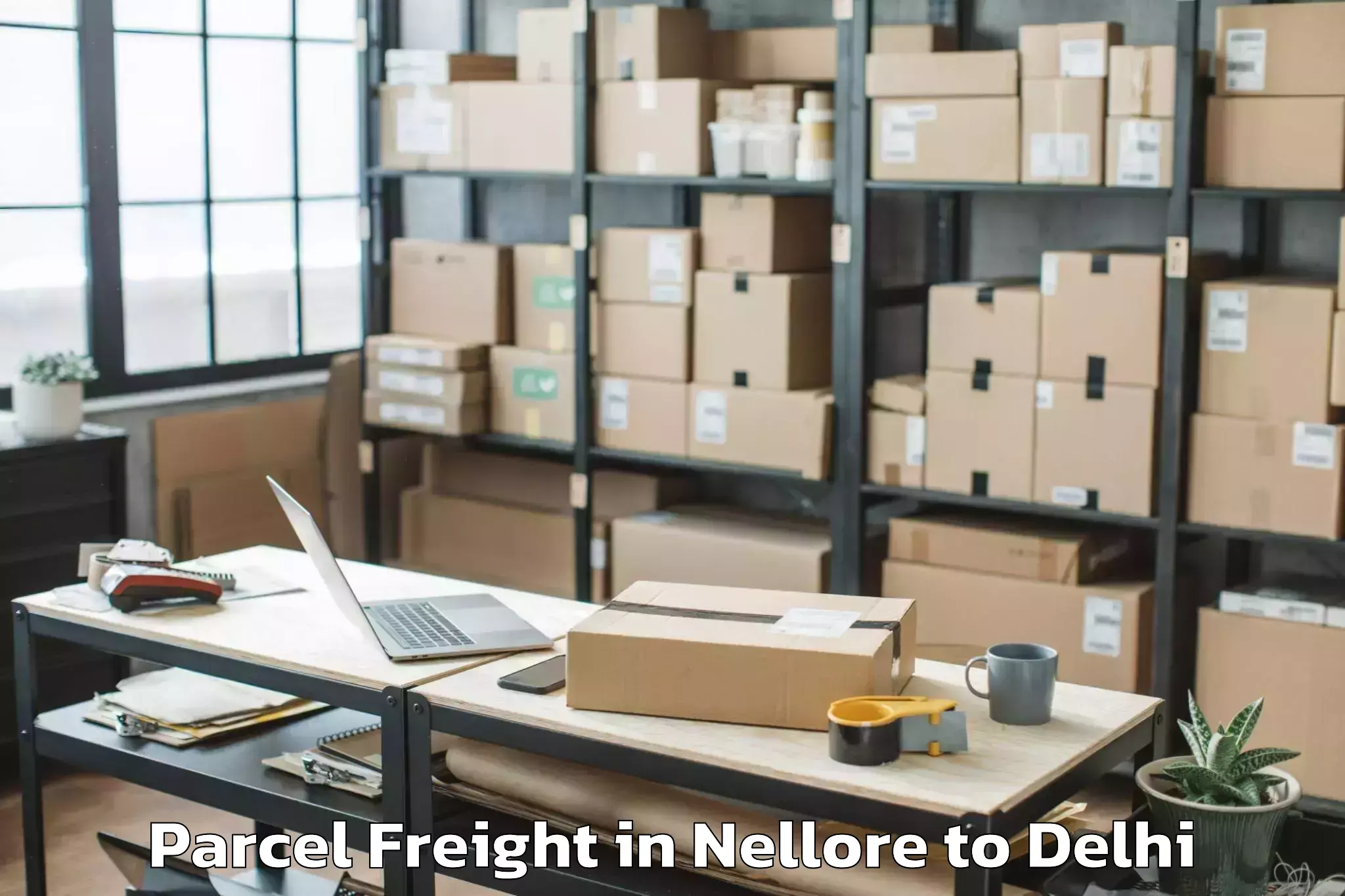 Top Nellore to Karol Bagh Parcel Freight Available